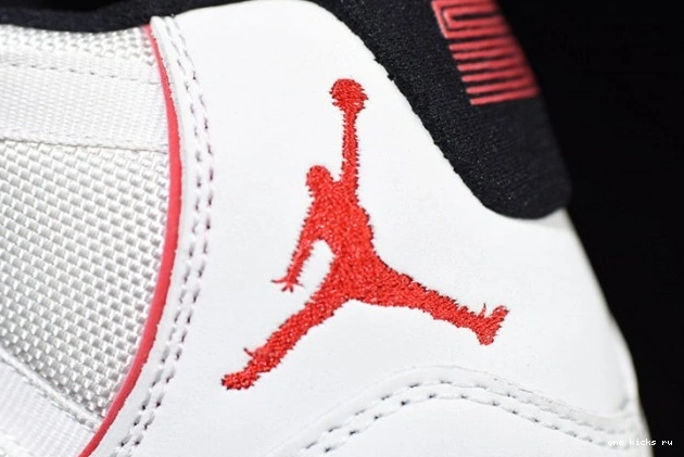 Rep 11 Platinum Air Retro Tint Jordan 378037-016 0524